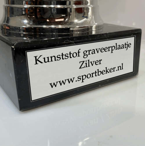 Graveerplaatje Kunststof Zilver Eigen formaat - Afbeelding 2